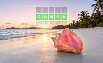 Illustration of a tropical beach scene with a Wordle grid overlaid, hinting at the word CONCH.